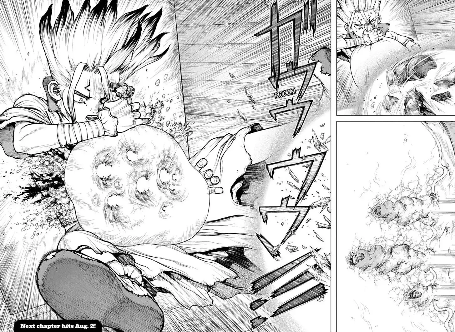 Dr. Stone Chapter 159 16